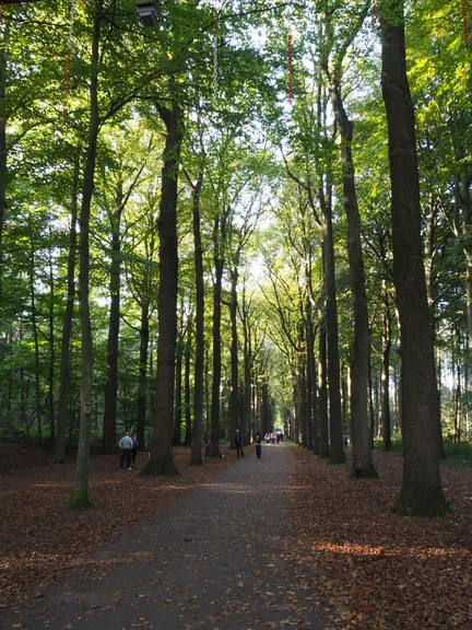 Vagevuurbos en Lippensgoed-Bulskampveld (België)